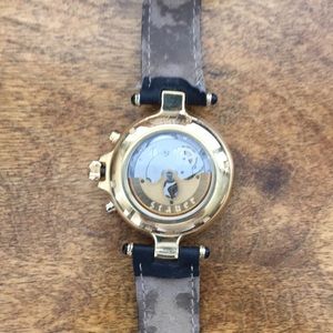 Stauer automatic watch